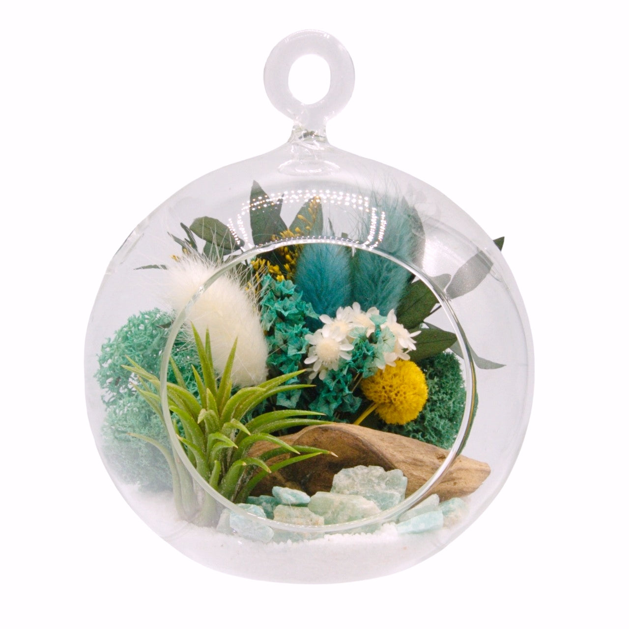 Airplant Bubble Terrarium Small - Aventurine