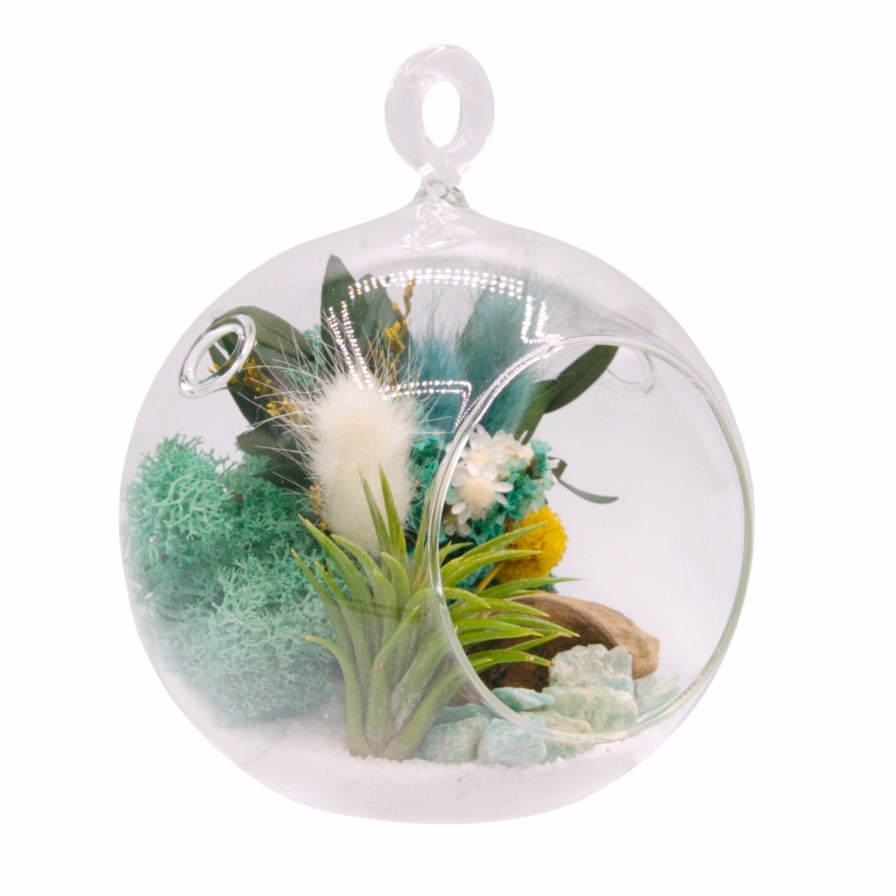 Airplant Bubble Terrarium Small - Aventurine