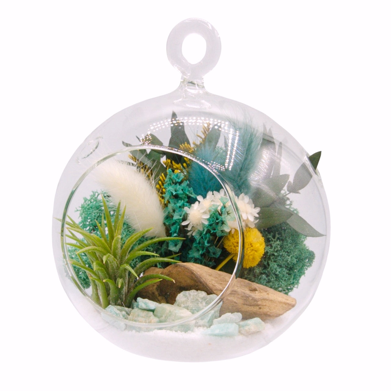 Airplant Bubble Terrarium Small - Aventurine