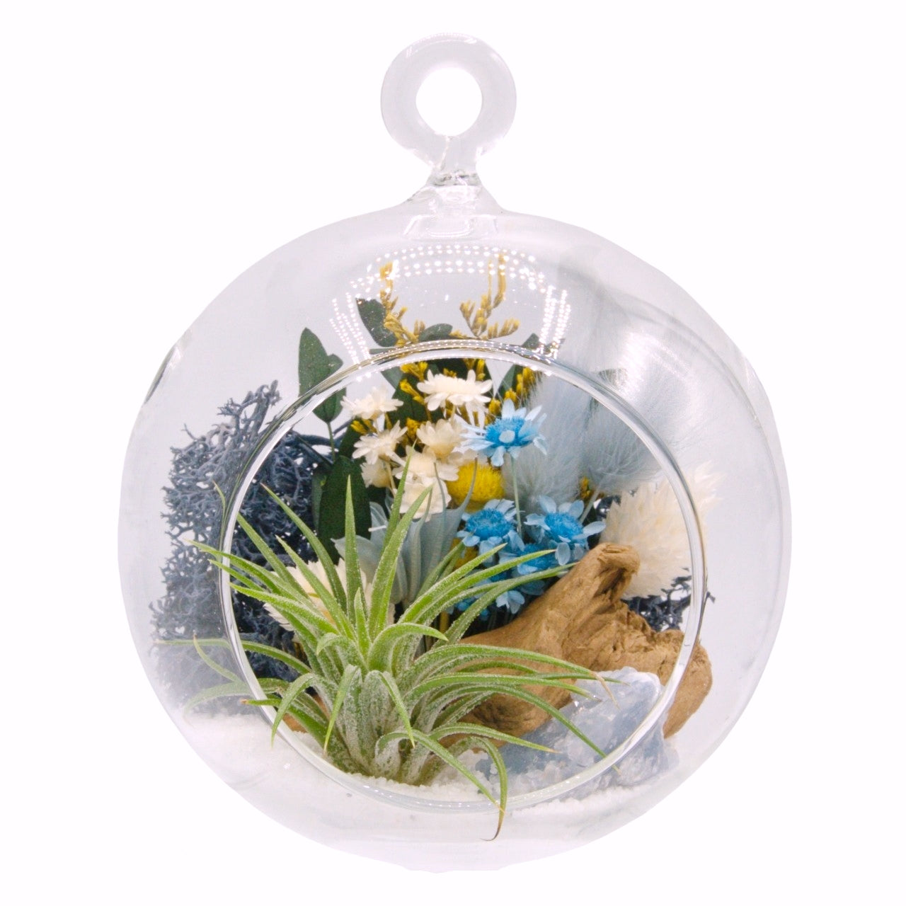 Airplant Bubble Terrarium Small - Blue calcite