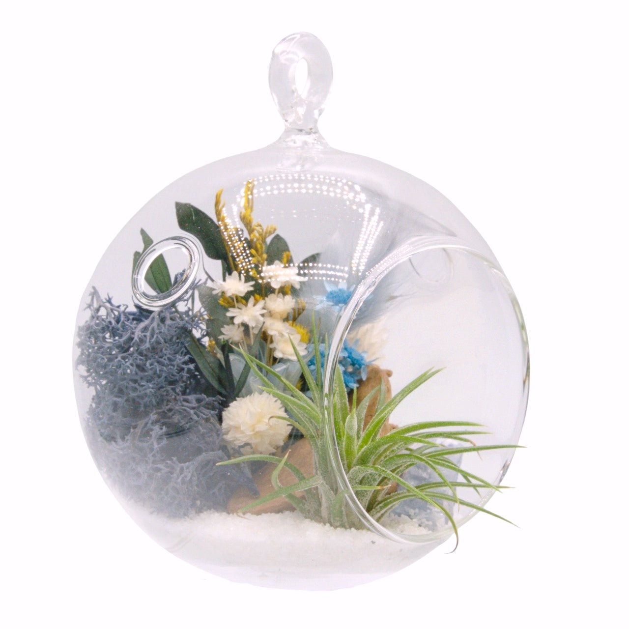 Airplant Bubble Terrarium Small - Blue calcite