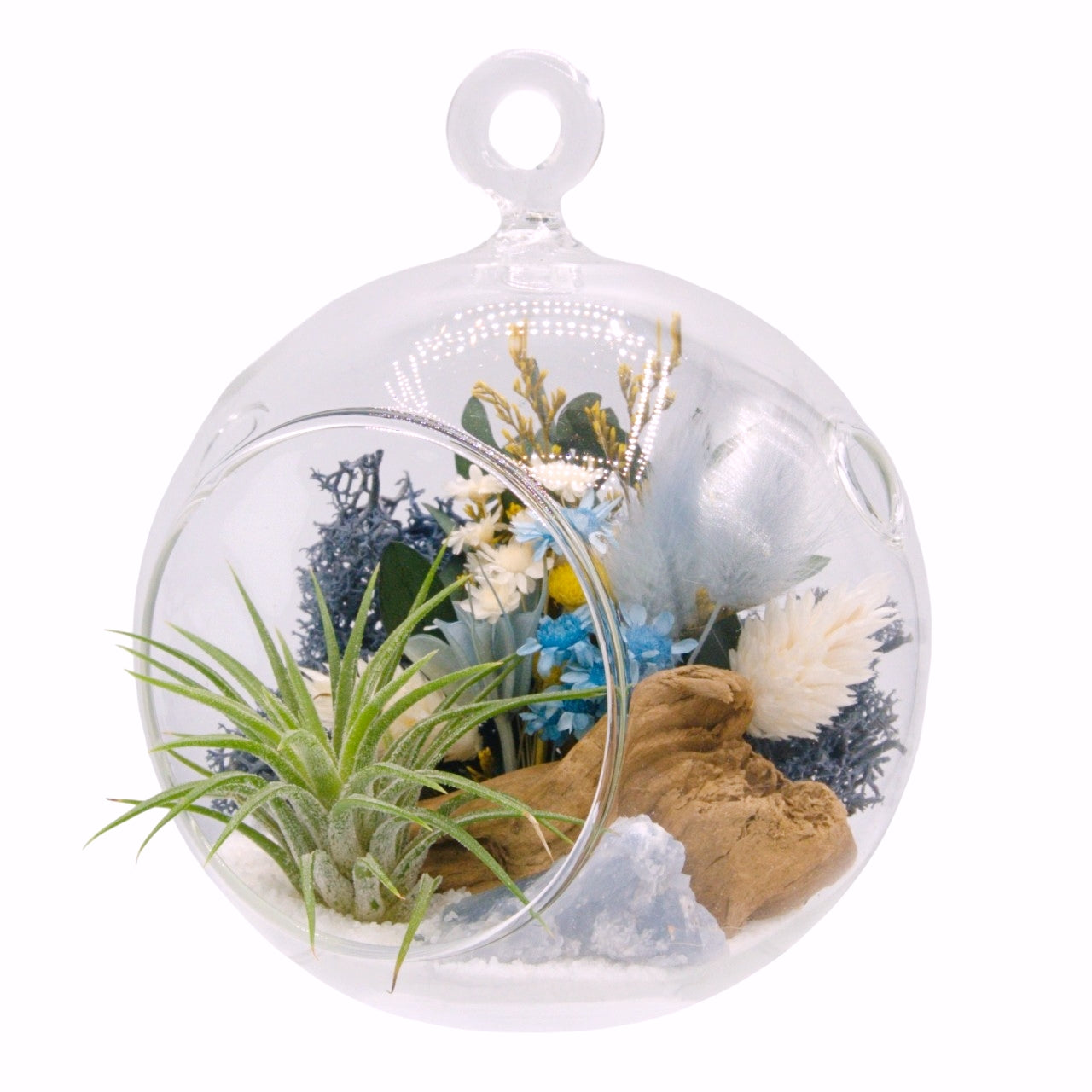 Airplant Bubble Terrarium Small - Blue calcite