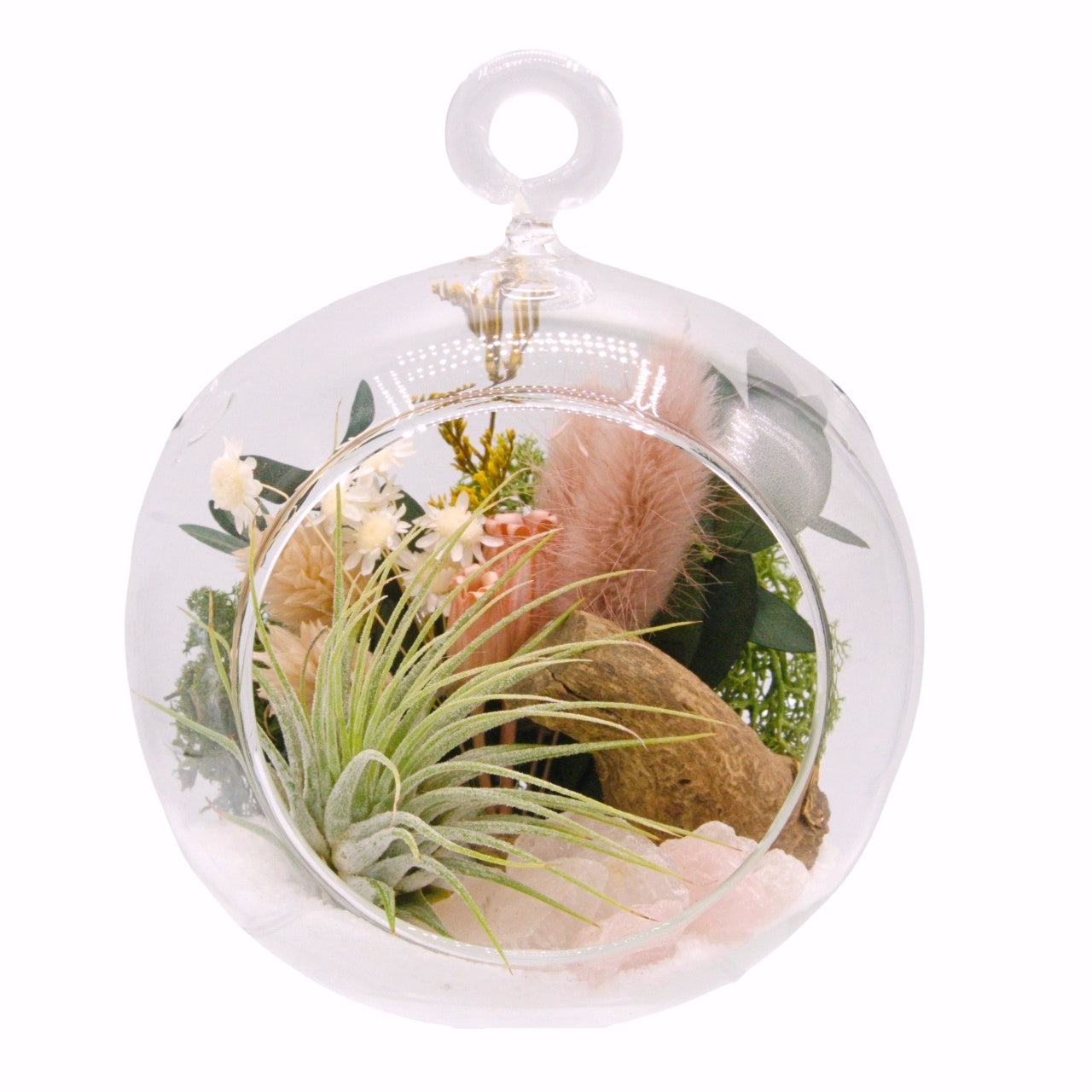 rose quartz air plant Airplant Bubble Terrarium Small