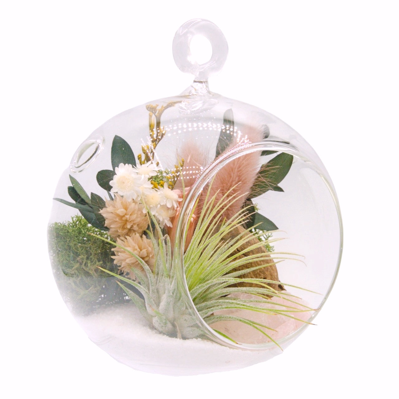 Airplant Bubble Terrarium Small - Pink Quartz