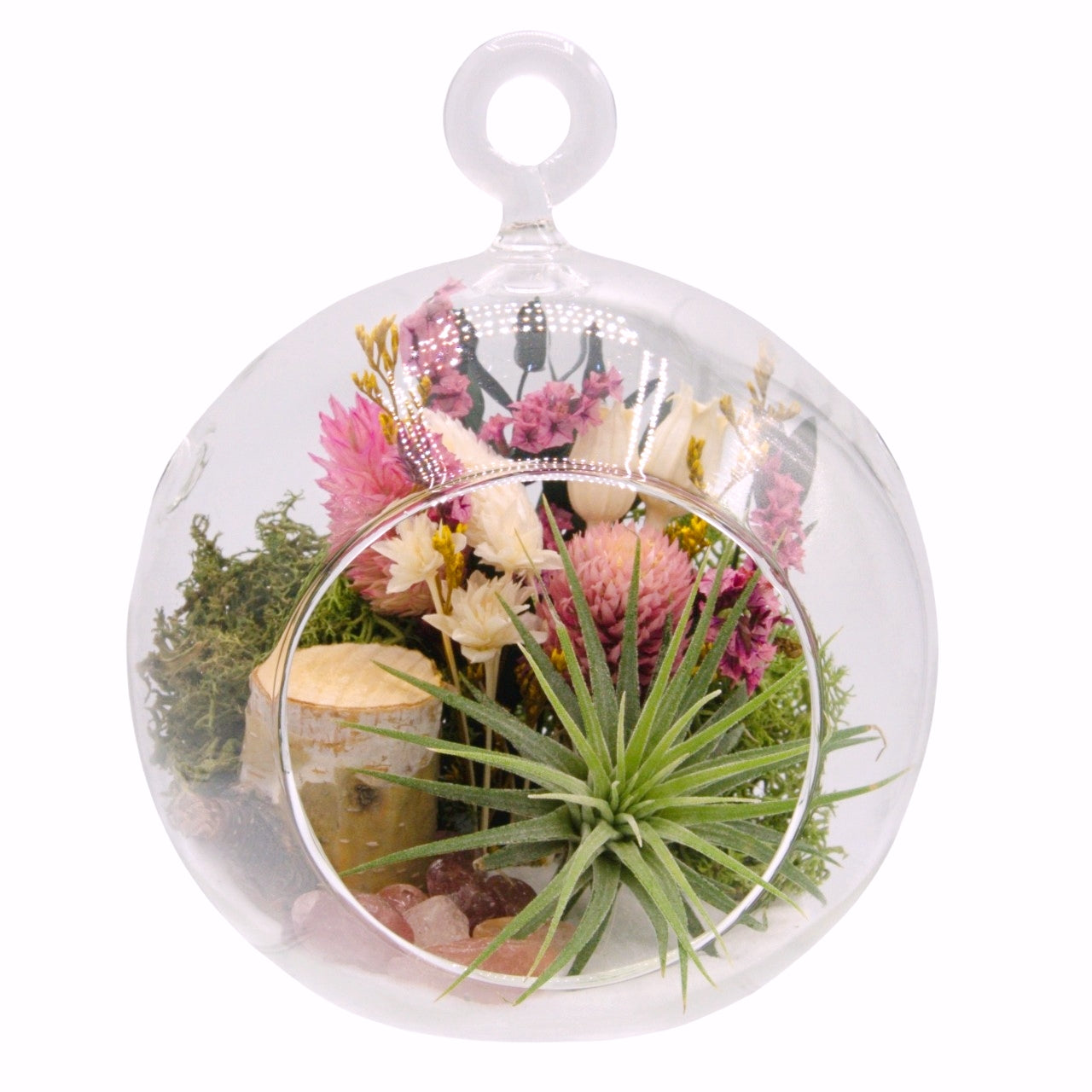 Airplant Bubble Terrarium Small - Strawberry Quartz