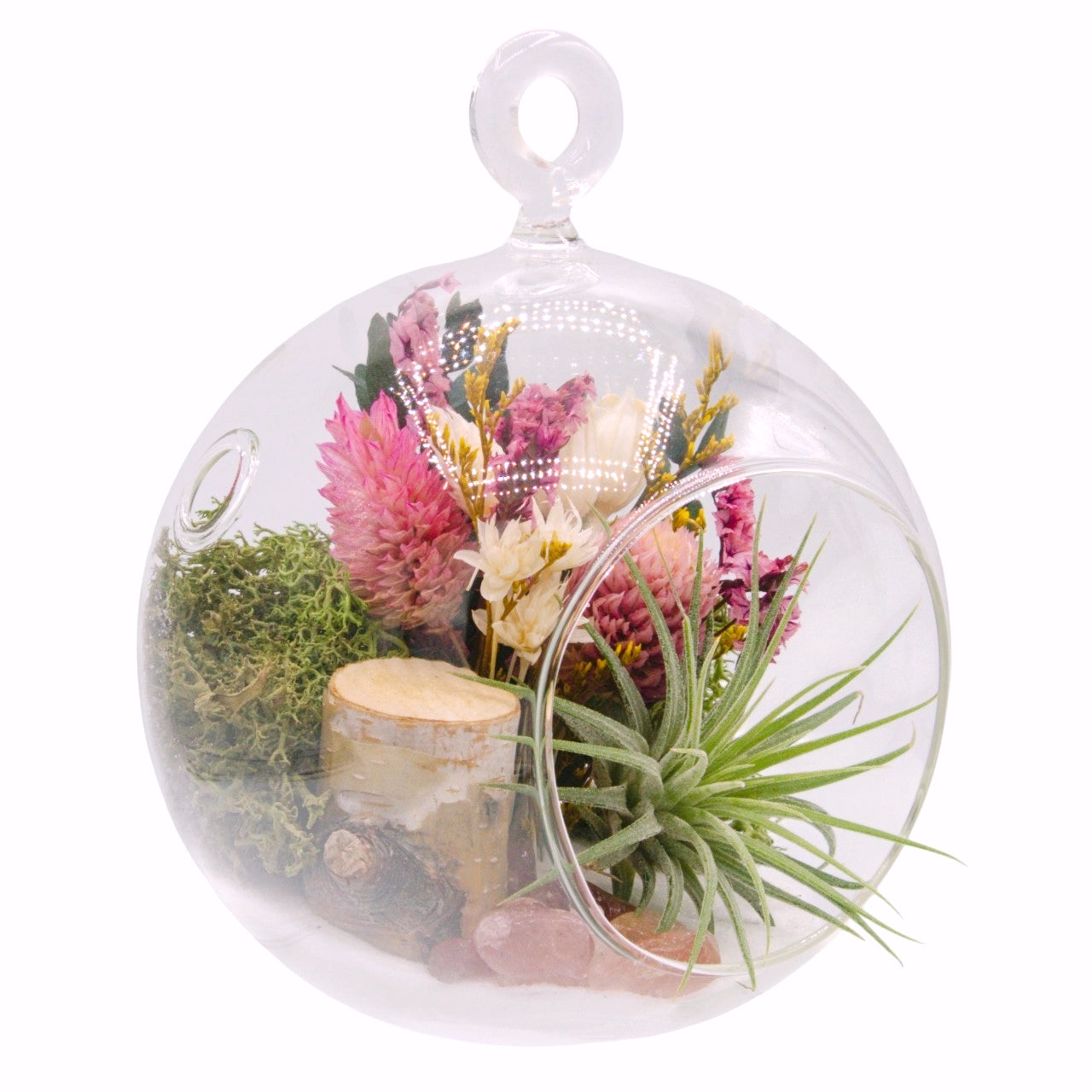 Airplant Bubble Terrarium Small - Strawberry Quartz
