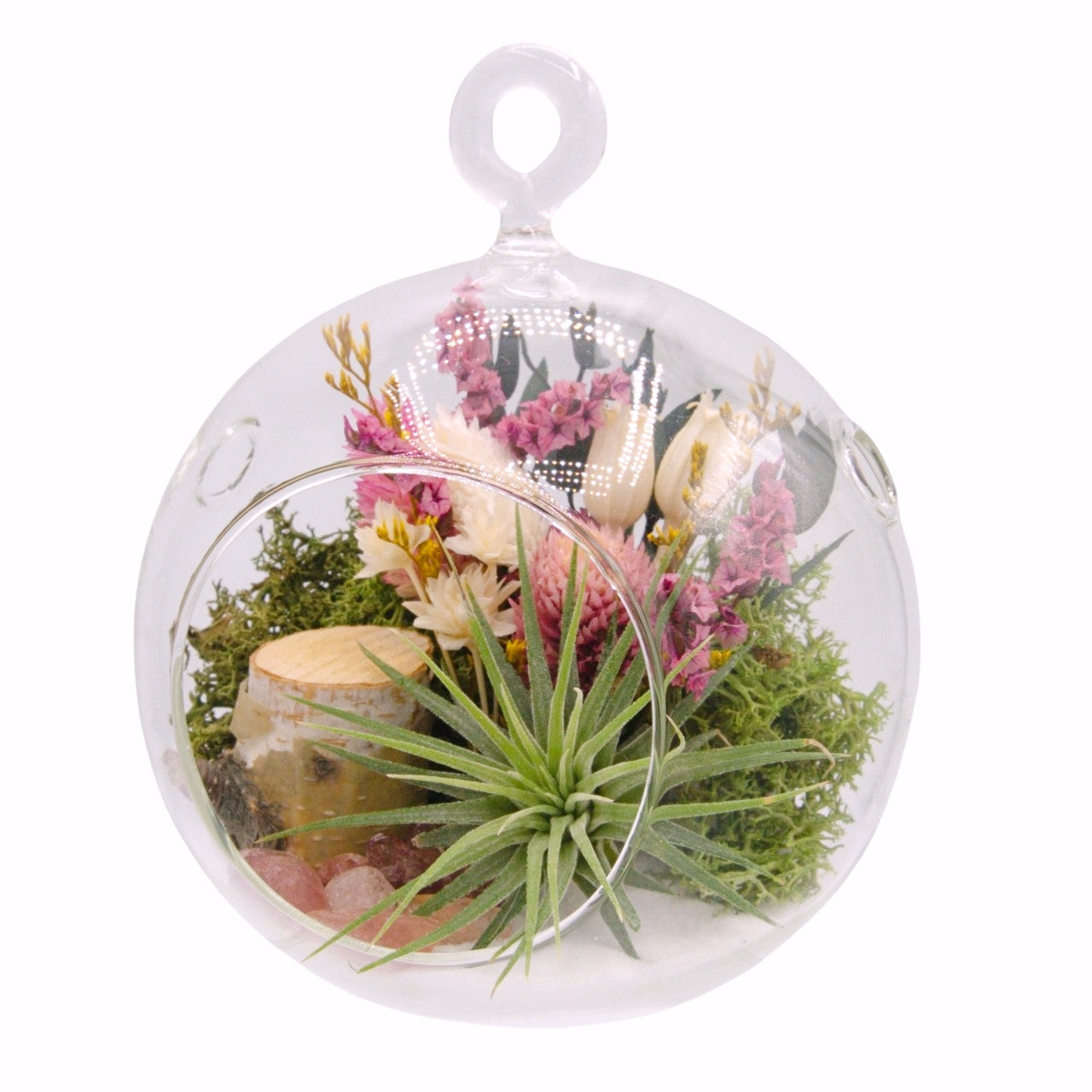 Airplant Bubble Terrarium Small - Strawberry Quartz