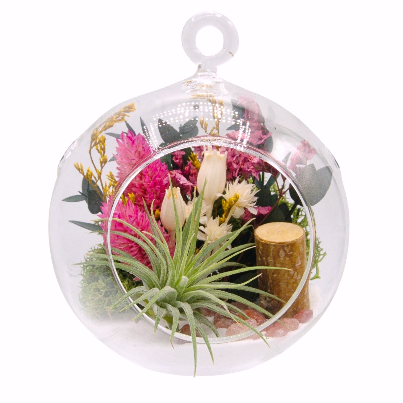 Airplant Bubble Terrarium Small - Strawberry Quartz