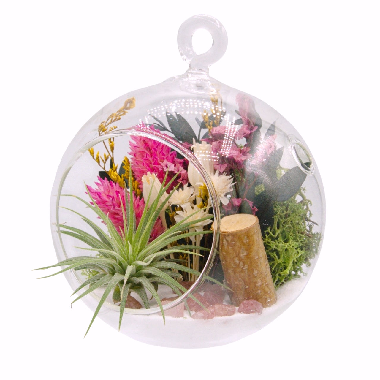 Airplant Bubble Terrarium Small - Strawberry Quartz
