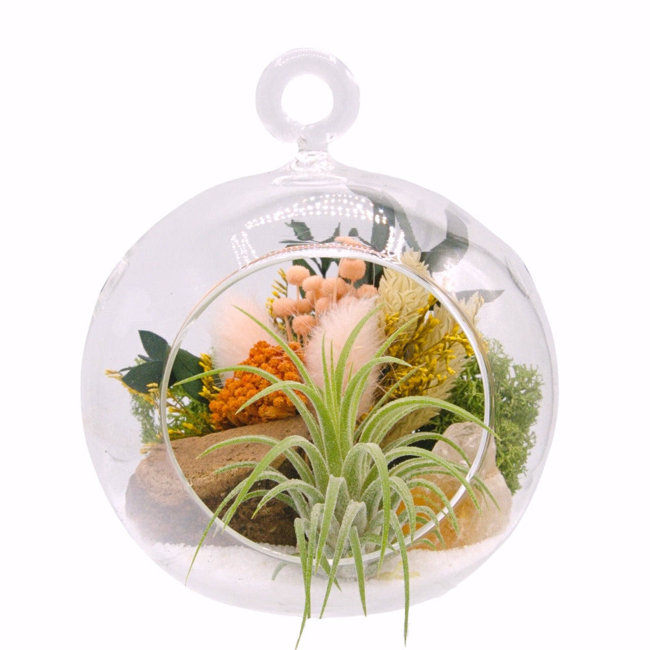 Airplant Bubble Terrarium Small - Yellow Calcite