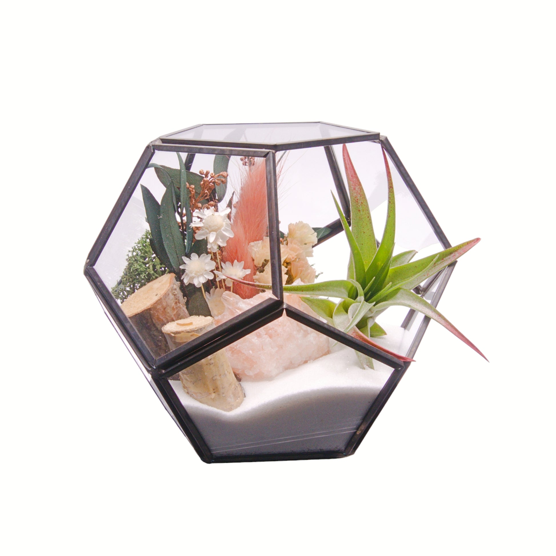 Black Victorian bowl terrarium with airplant, sand, dried flowers, moss, wood and tri-coloured calcite crystal