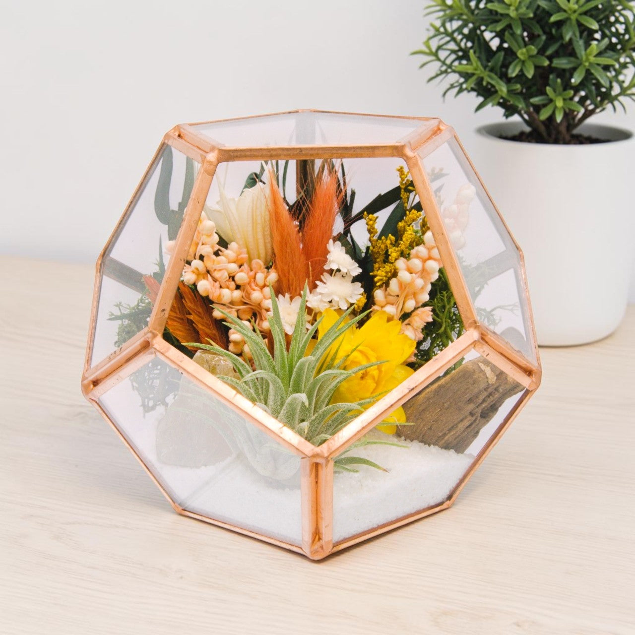 Rosegold Victorian Airplant Terrarium - Yellow Calcite