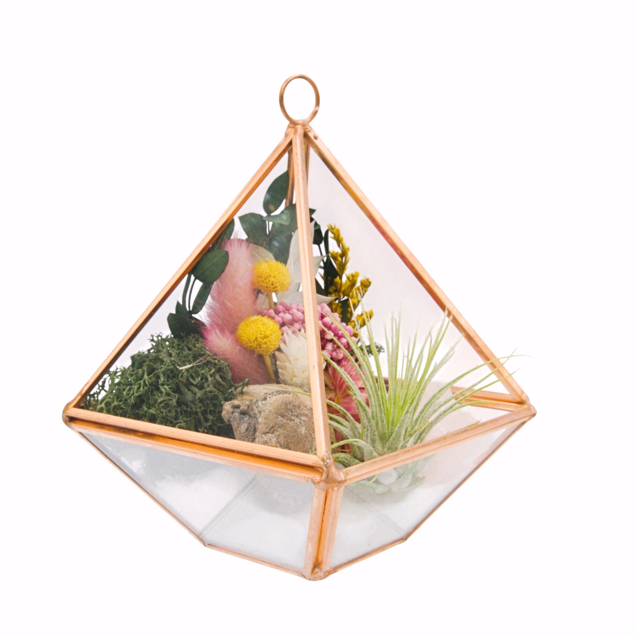 Rosegold Victorian Airplant Terrarium - Rose Quartz