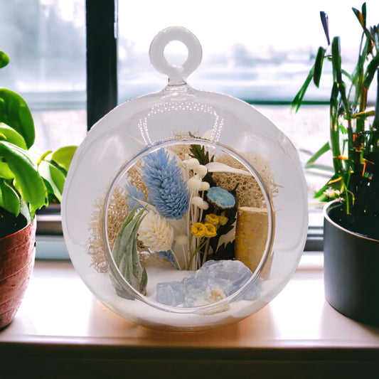 Terrarium à bulles de plante aérienne - Calcite bleu