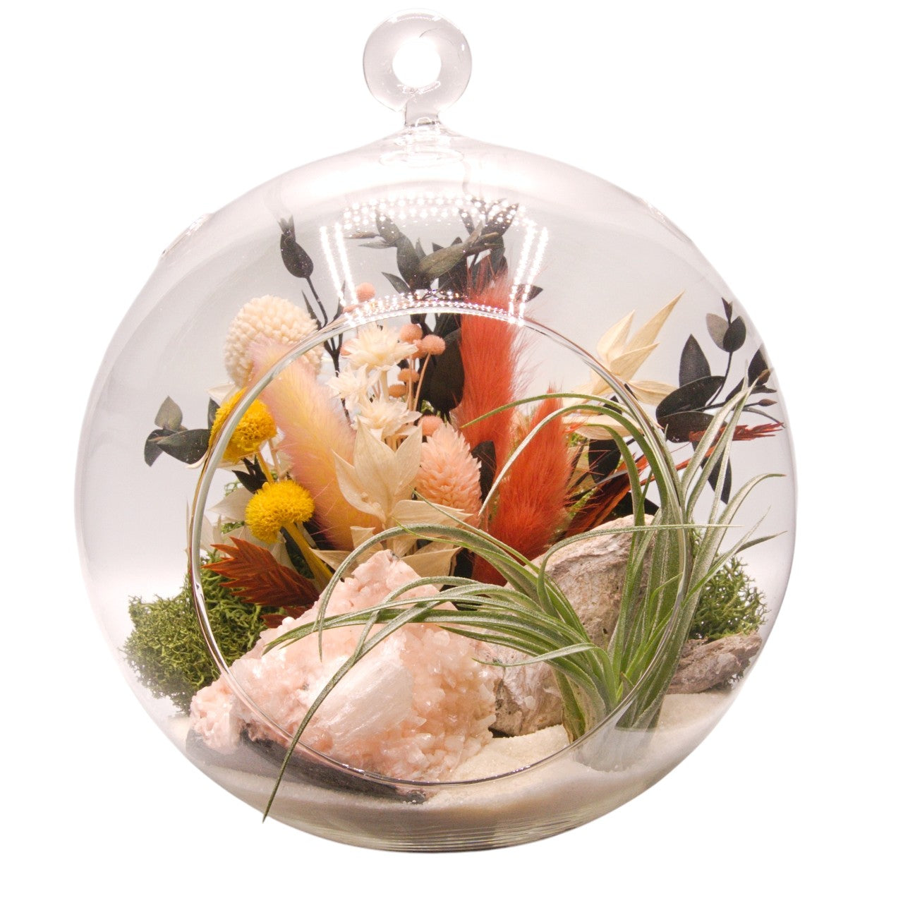 Terrarium à bulle grand avec une plante aérienne et un cristal de heulandite