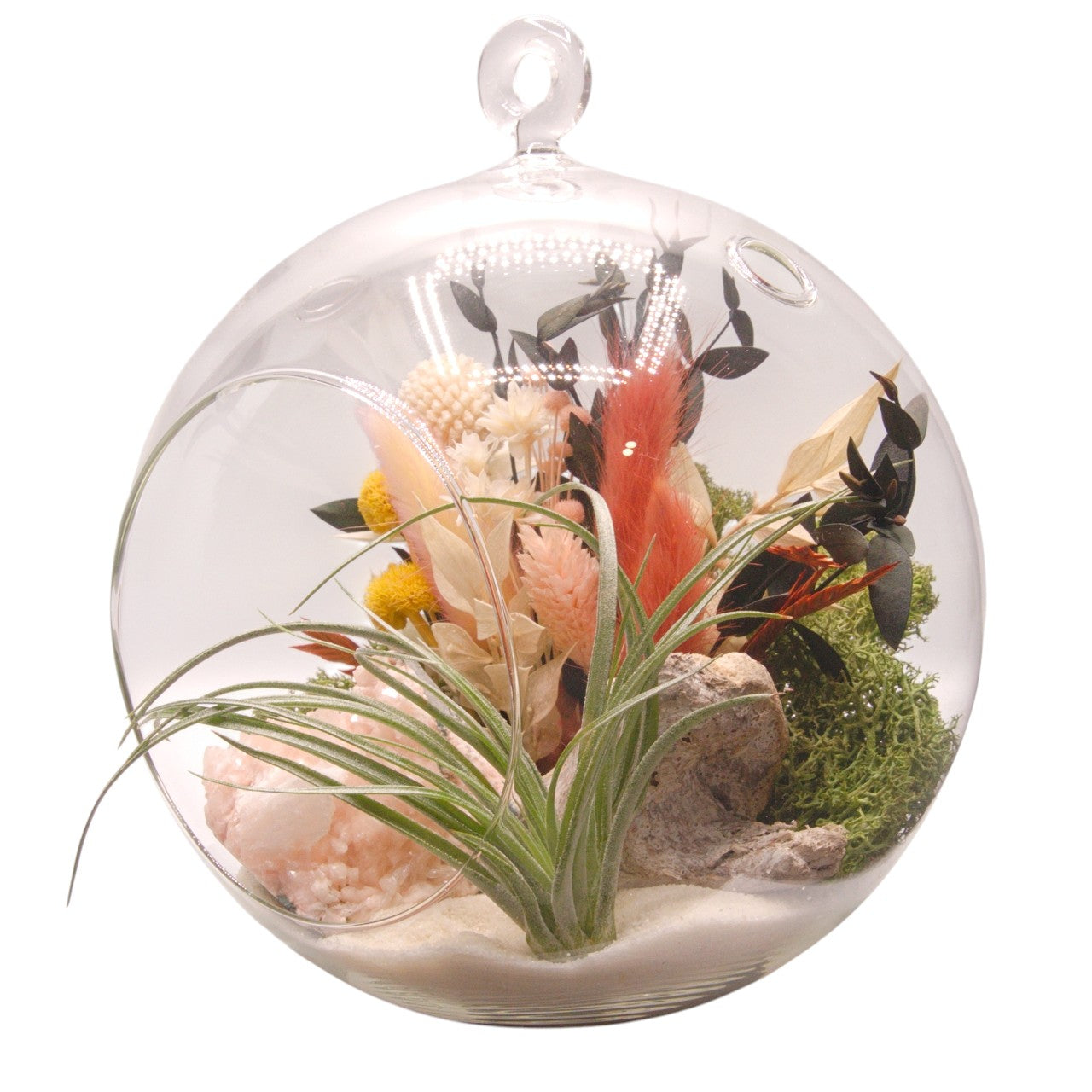 Terrarium à bulle grand avec une plante aérienne et un cristal de heulandite