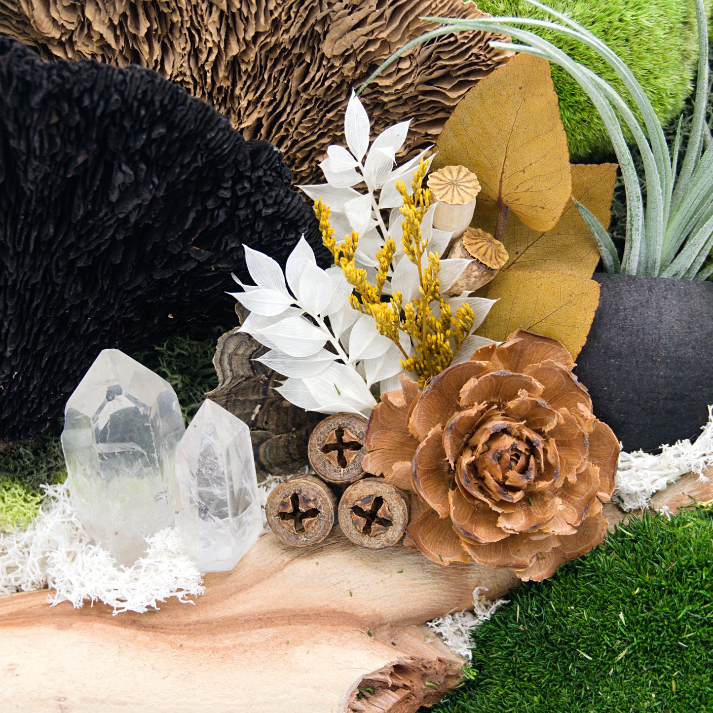 Airplant Moss & Floral Landscape - Round Frame