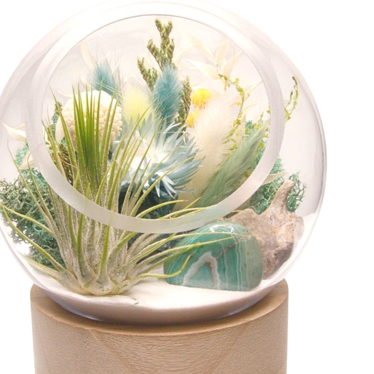 Terrarium à bulle grand avec base en bois et cristal de fluorite polis
