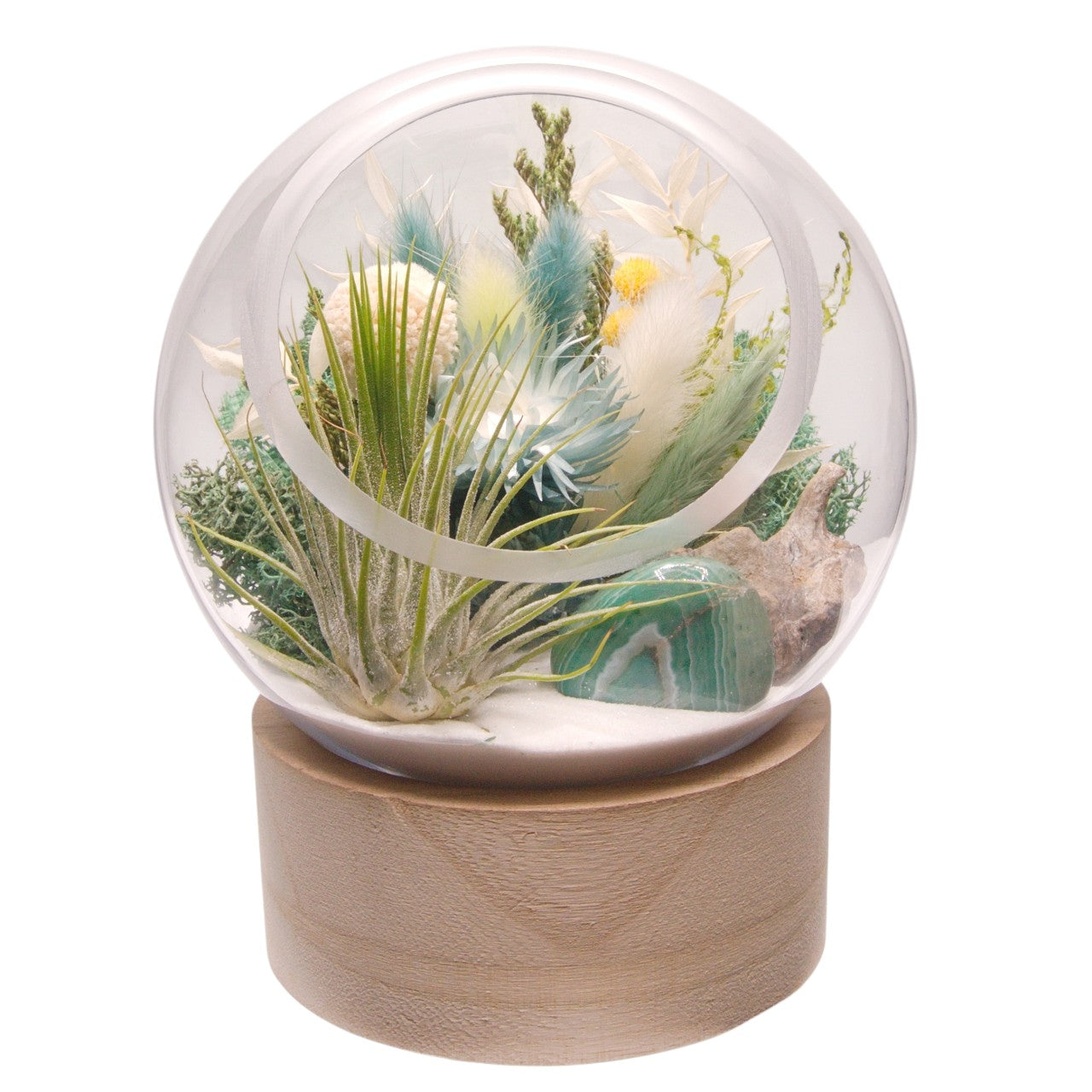 Terrarium à bulle grand avec base en bois et cristal de fluorite polis