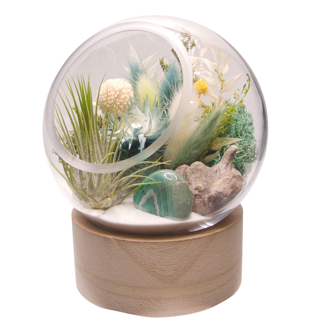 Terrarium à bulle grand avec base en bois et cristal de fluorite polis
