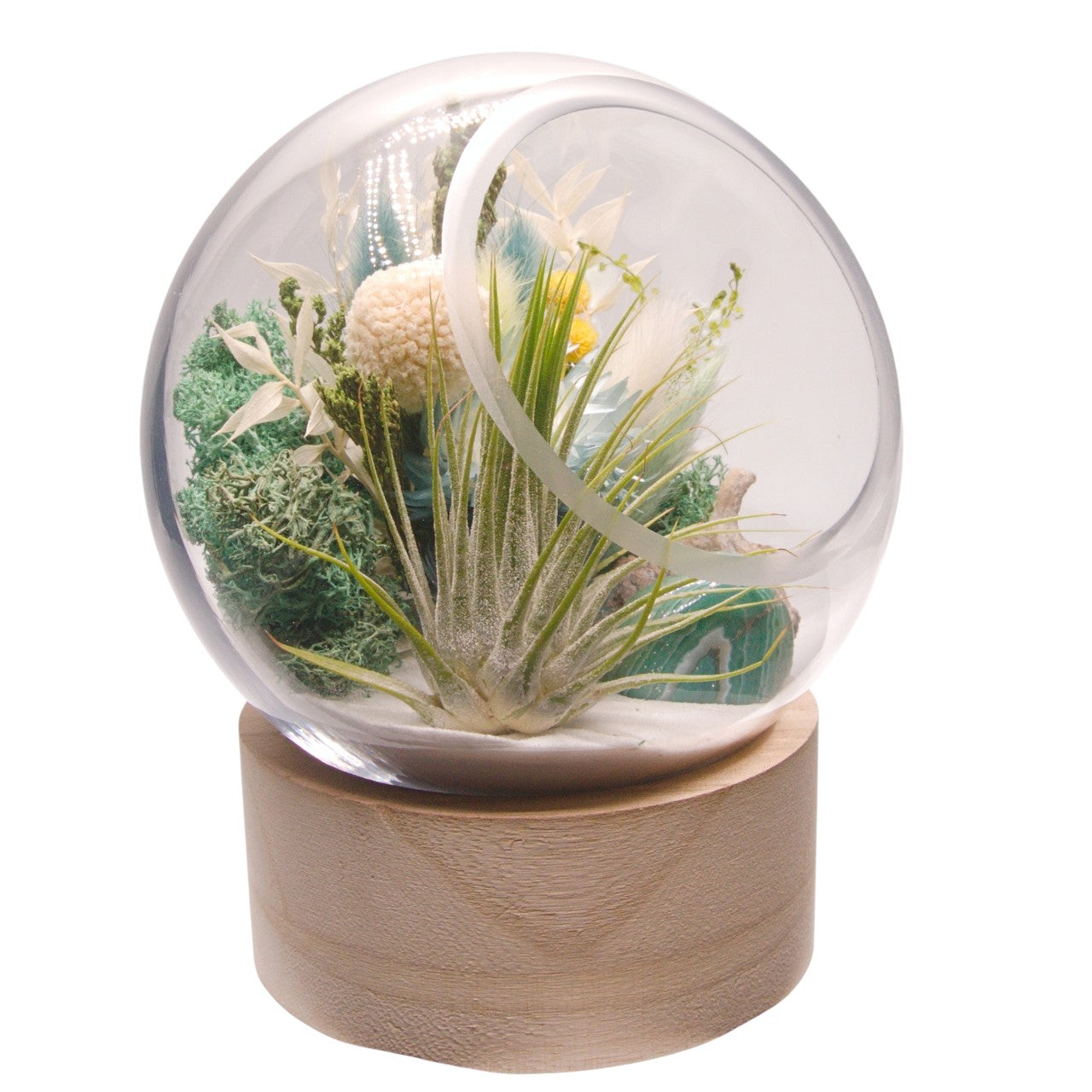 Terrarium à bulle grand avec base en bois et cristal de fluorite polis