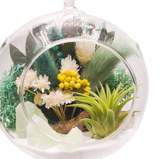 Airplant Bubble Terrarium Small - Turquoise