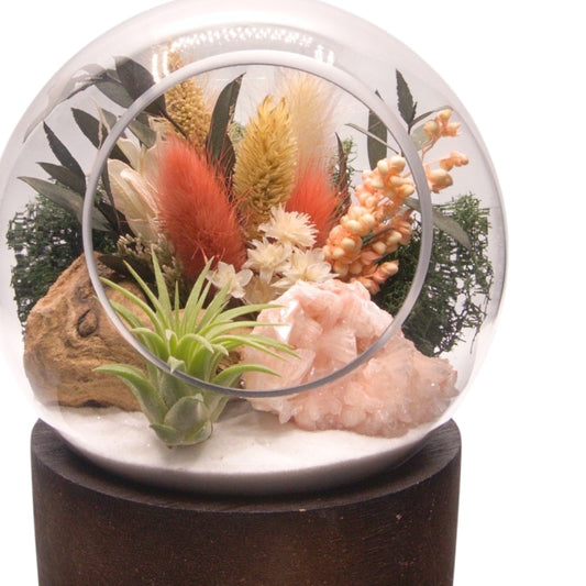Terrarium à bulle moyen avec base en bois et cristal de heulandite