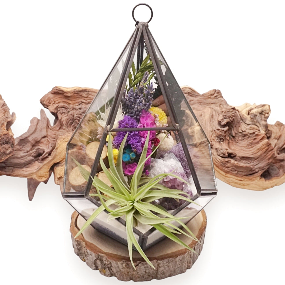 Grand terrarium victorien avec cristal d'améthyste