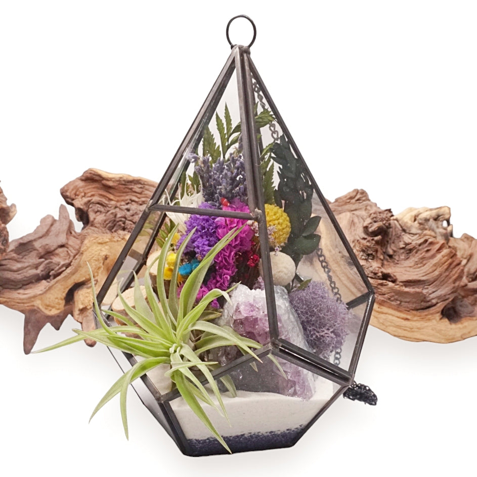 Grand terrarium victorien avec cristal d'améthyste