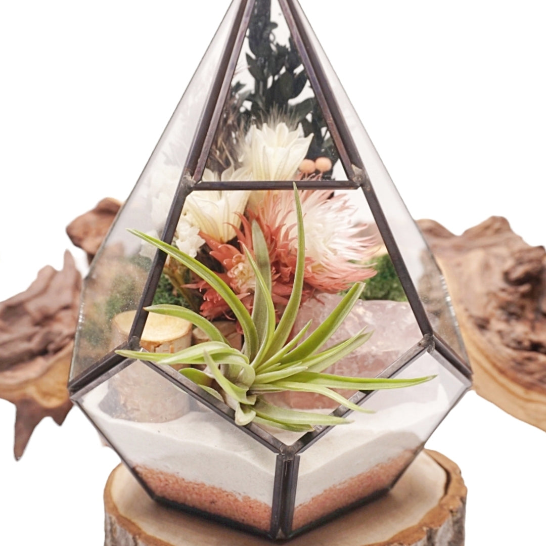 Grand terrarium victorien avec une plante aérienne et un cristal de rose quartz