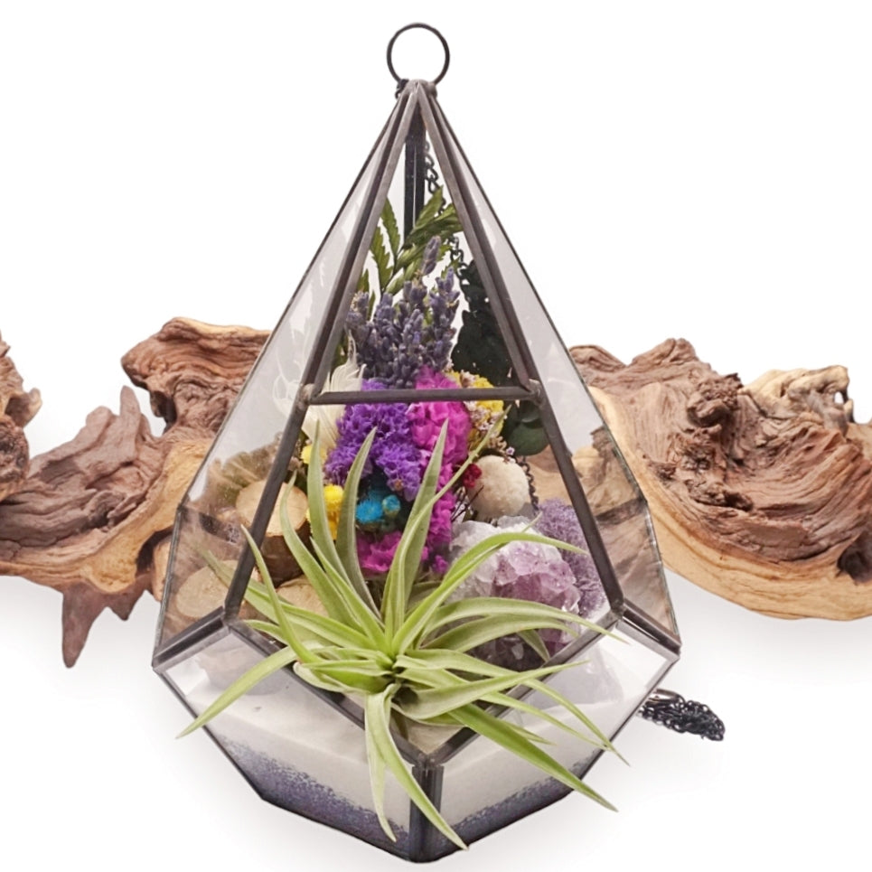 Grand terrarium victorien avec cristal d'améthyste