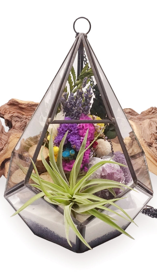 Grand terrarium victorien avec cristal d'améthyste