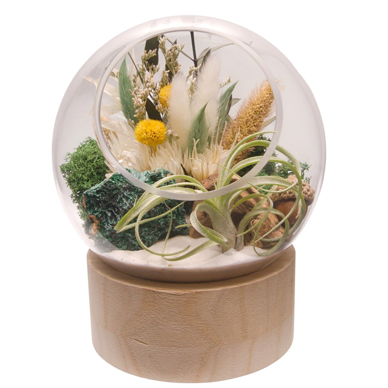 Terrarium à bulle grand avec base en bois et cristal de malachite