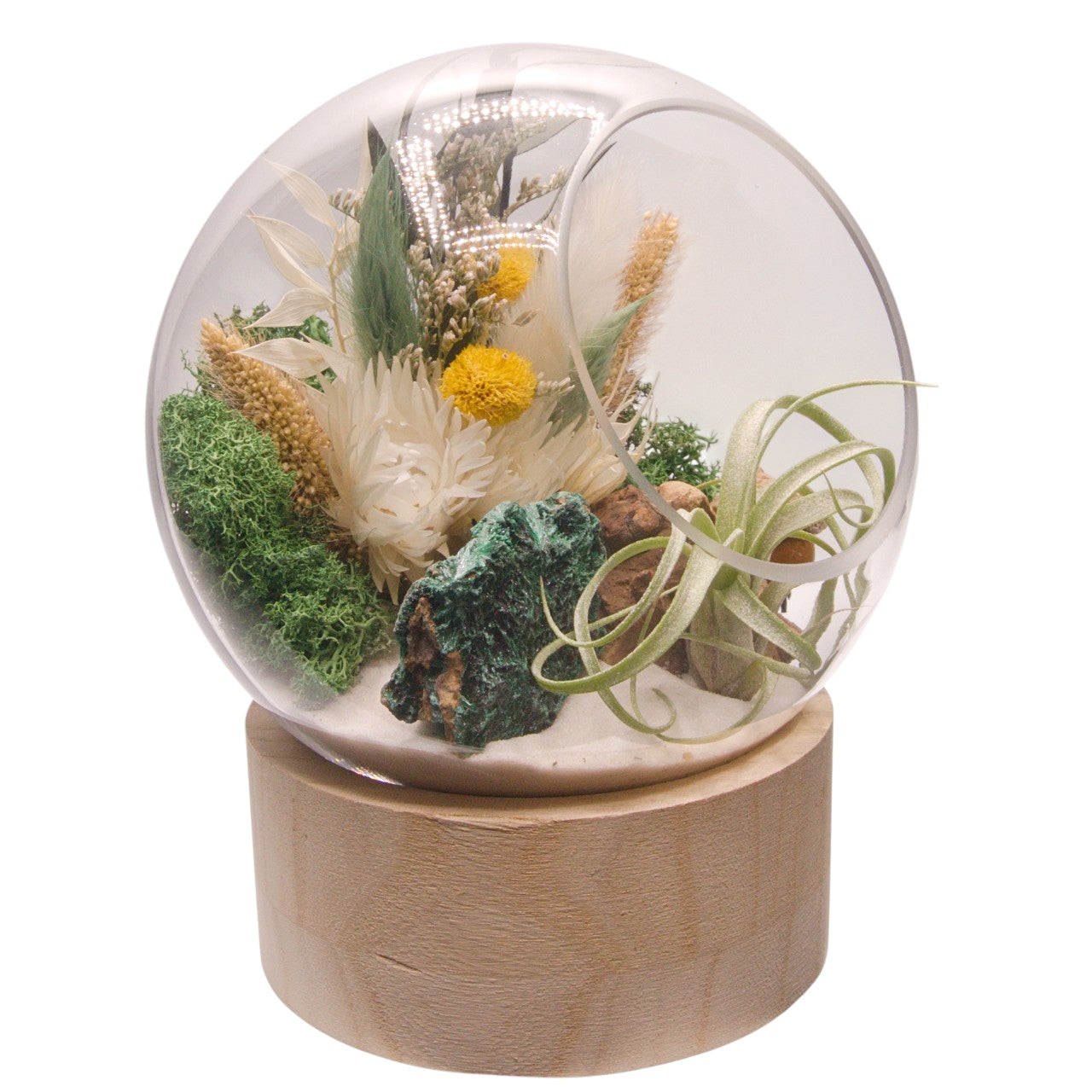 Terrarium à bulle grand avec base en bois et cristal de malachite