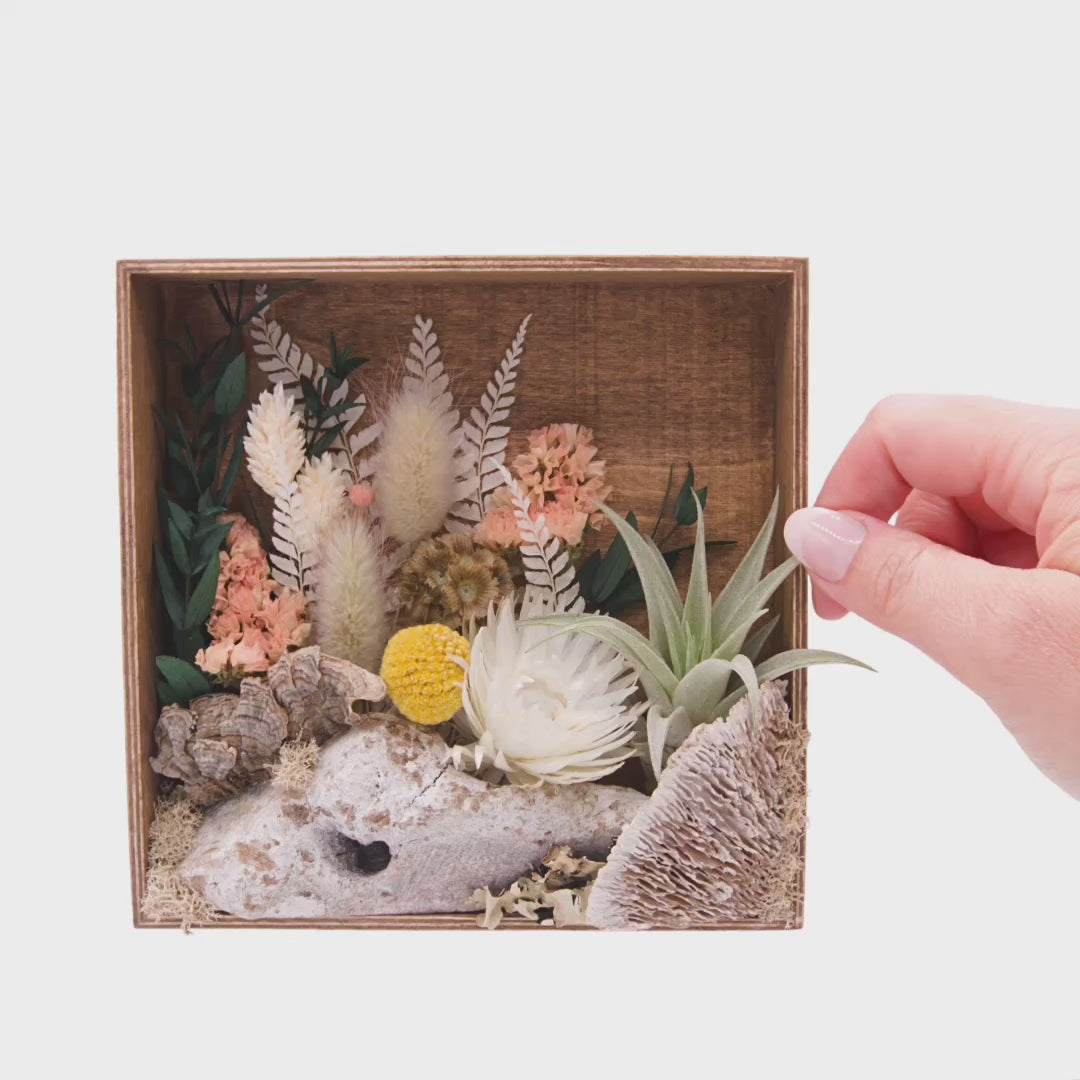 Stained wood box frame filled with dried flowers, wood, moss, dried mushrooms and an airplant