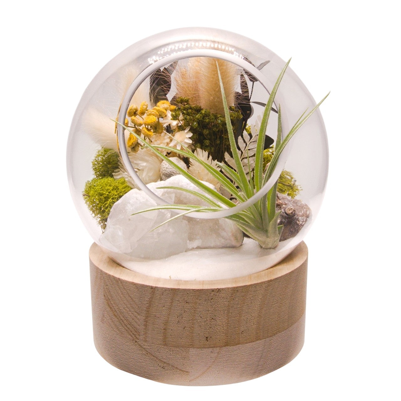 Terrarium à bulle moyen avec base en bois et cristal de quartz