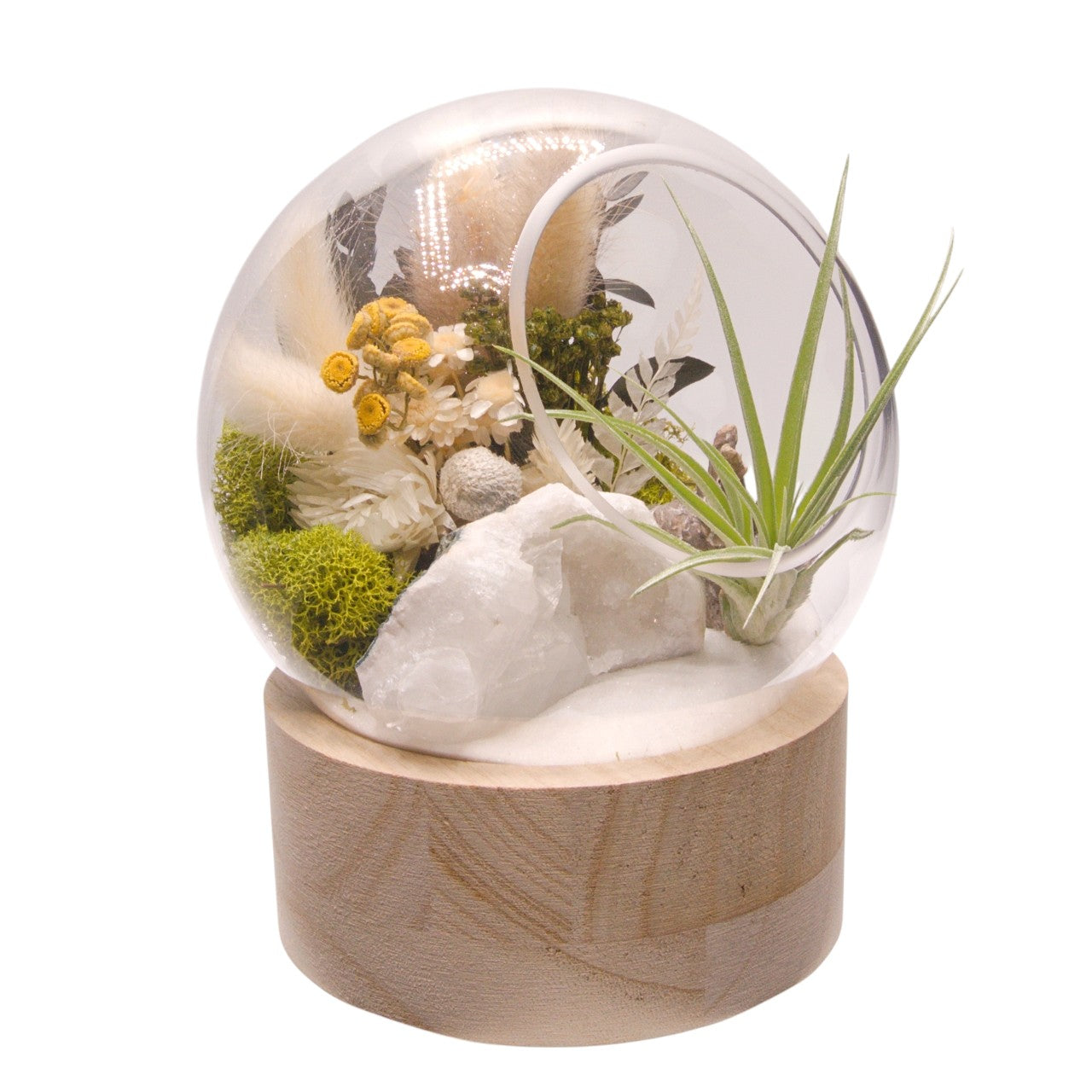 Terrarium à bulle moyen avec base en bois et cristal de quartz