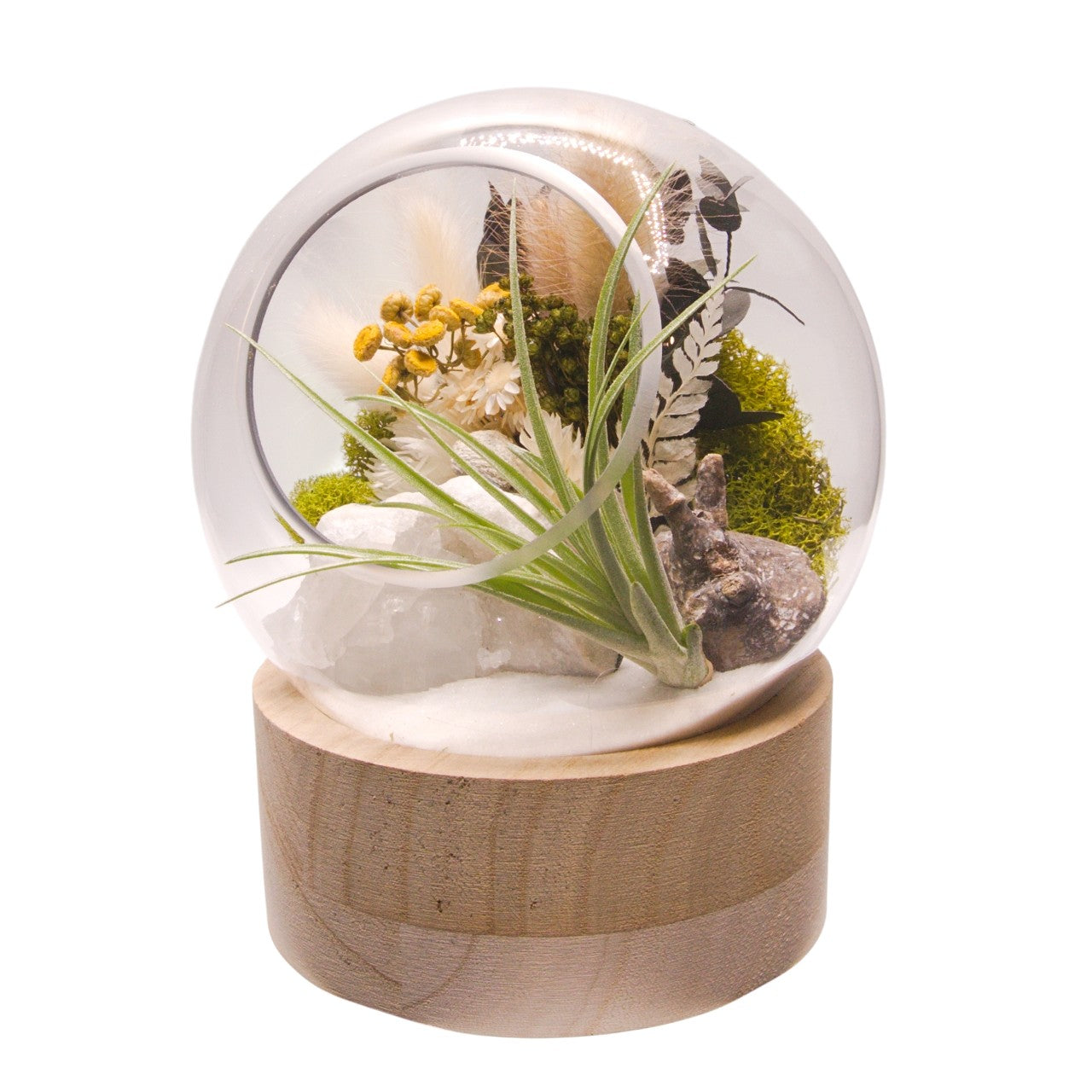 Terrarium à bulle moyen avec base en bois et cristal de quartz