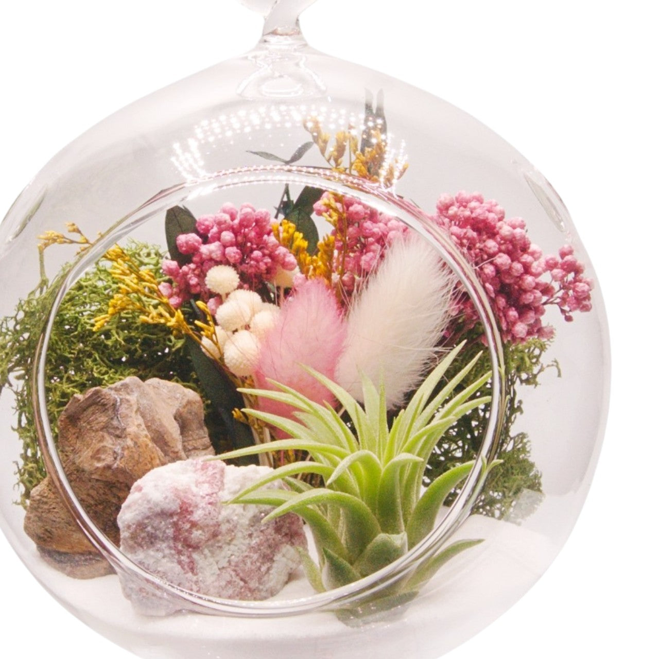 Airplant Bubble Terrarium Small - Pink