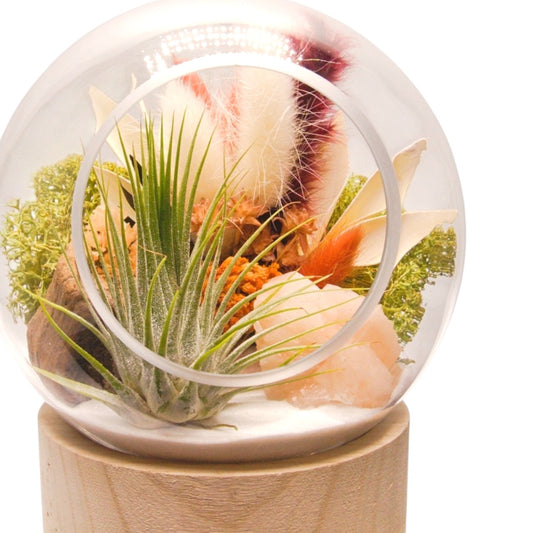 Terrarium à bulle grand avec base en bois et cristal de selenite