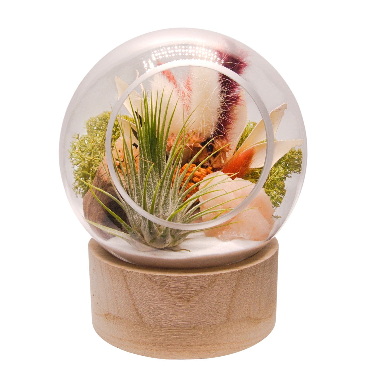 Terrarium à bulle grand avec base en bois et cristal de selenite