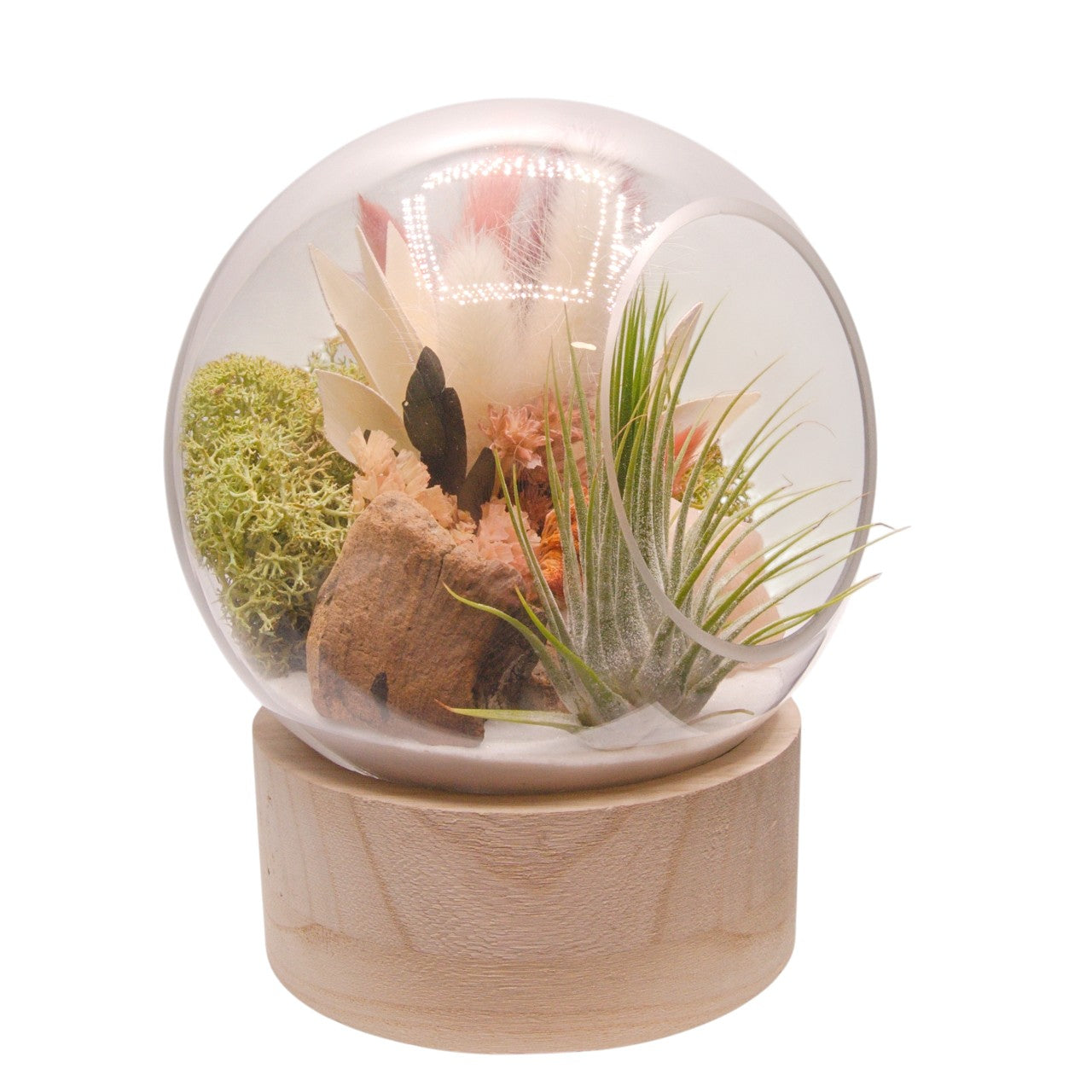 Terrarium à bulle grand avec base en bois et cristal de selenite