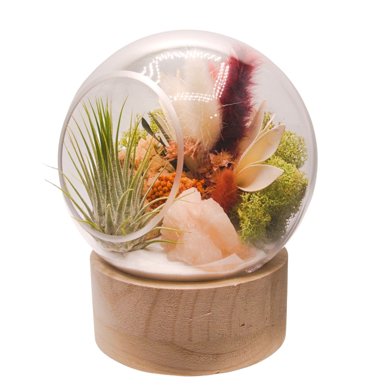Terrarium à bulle grand avec base en bois et cristal de selenite