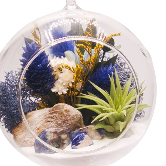 Airplant Bubble Terrarium Small - Blue