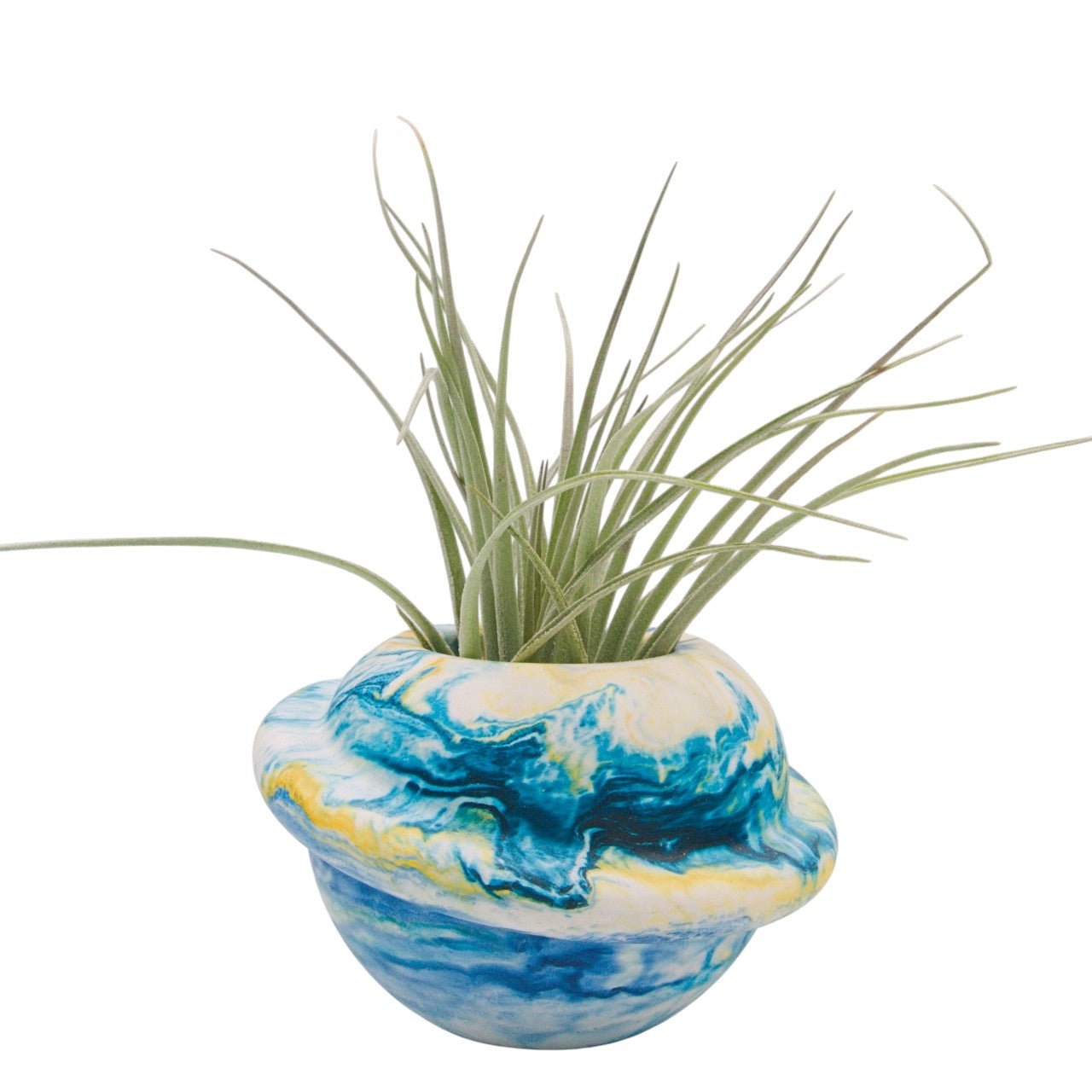 tillandsia houston dark pink