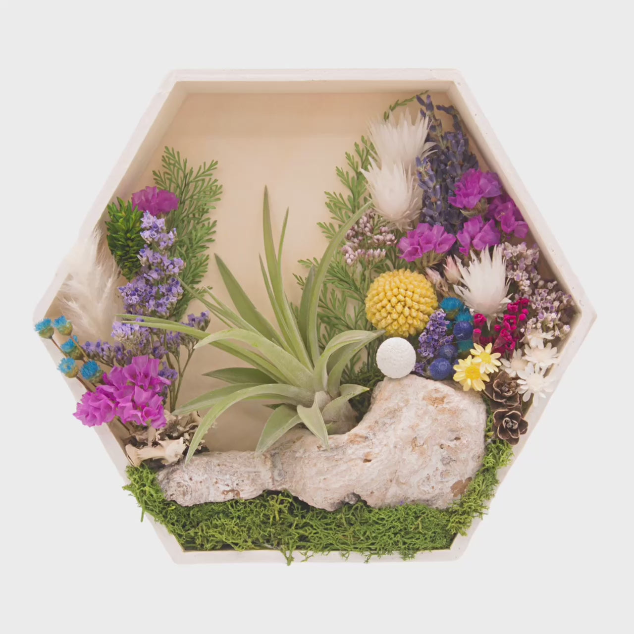 Hexagon wooden box frame, outside edges painted white, filled with colourful dried flowers, wood, moss and an airplant