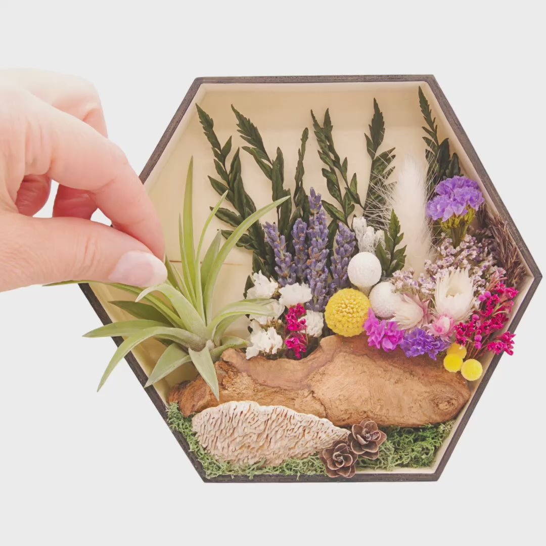 Hexagon wooden box frame filled with dried flowers with purple accents, wood, moss and an airplant/tillandsia