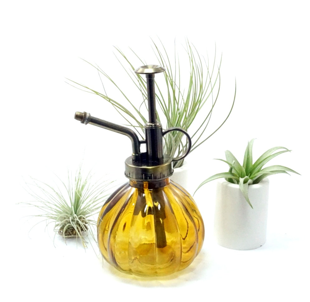 Brumisateur en Verre