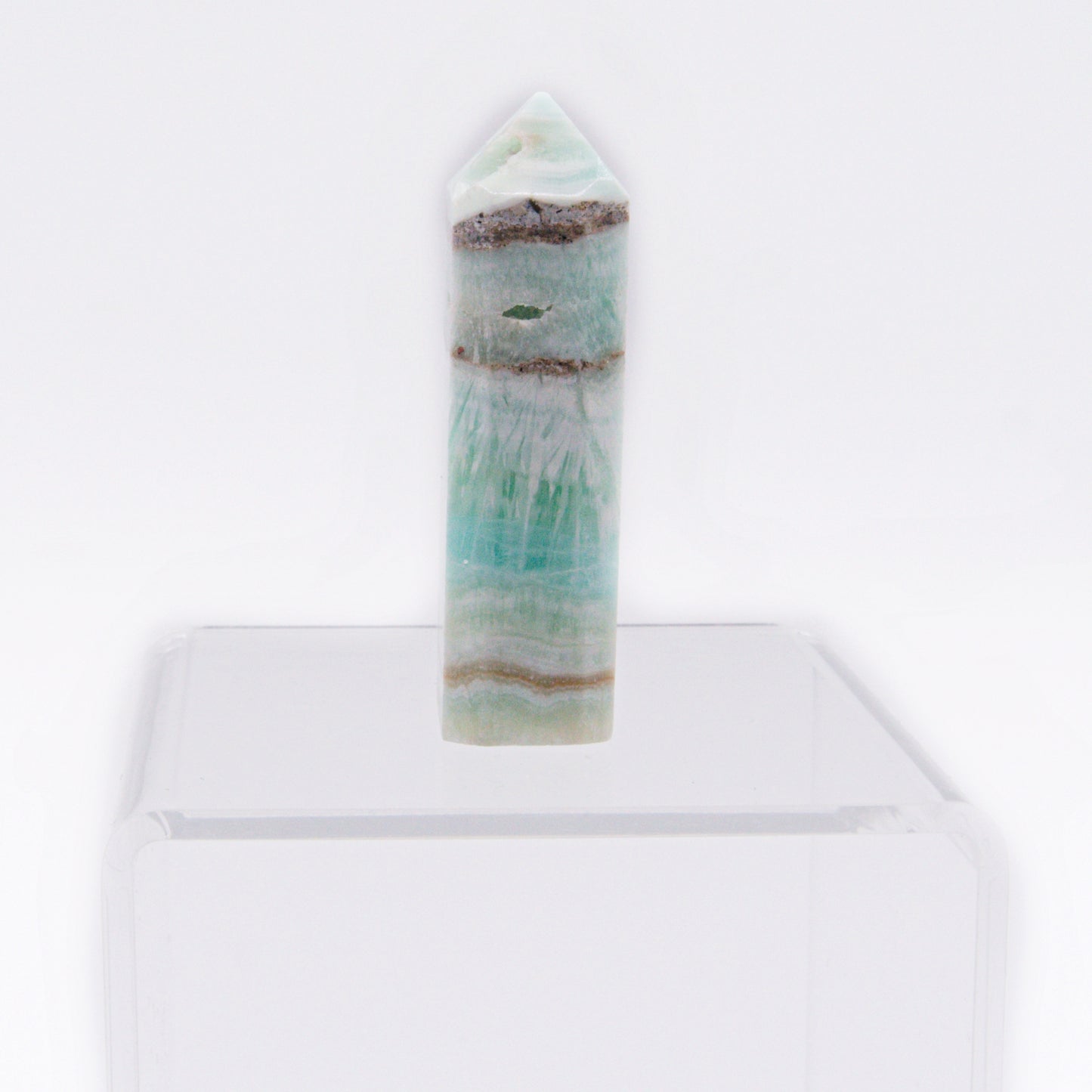 Tillandsia Terrarium - Caribbean Calcite