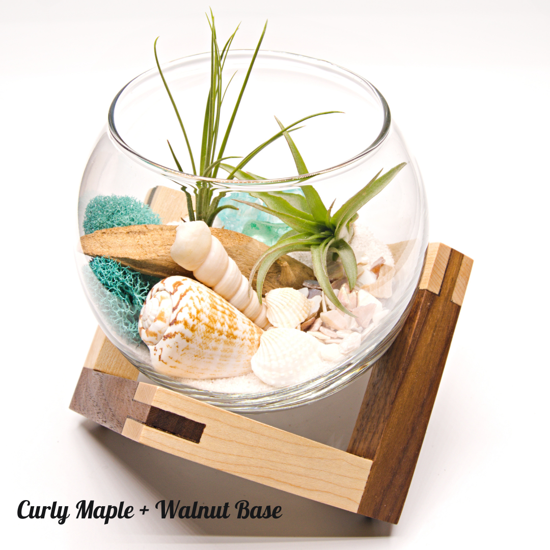 Wooden Displays - Large